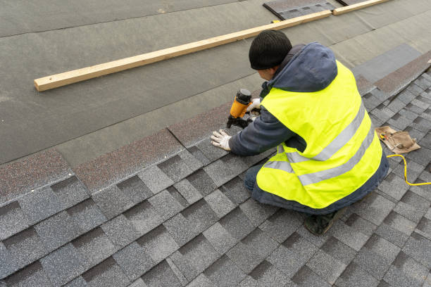 Best Roof Maintenance Services  in Moose Lake, MN