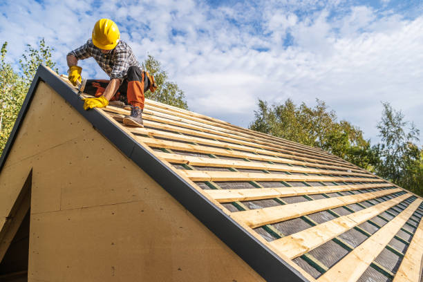 Professional Roofing Contractor in Moose Lake, MN